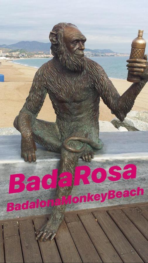 Badarosa 2 House10Min To Barceloncity&Nearto Beach Badalona Kültér fotó